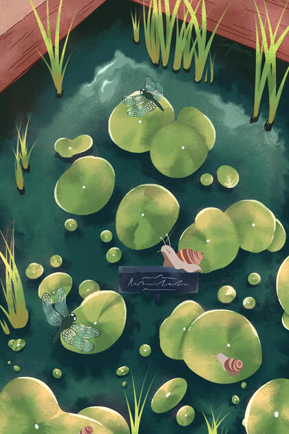 Lily Pads